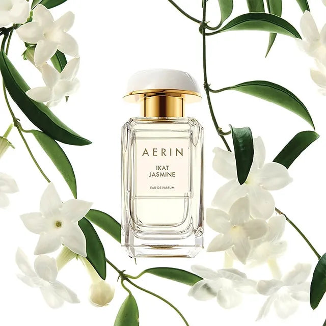AERIN Ikat Jasmine