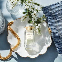 AERIN Ikat Jasmine