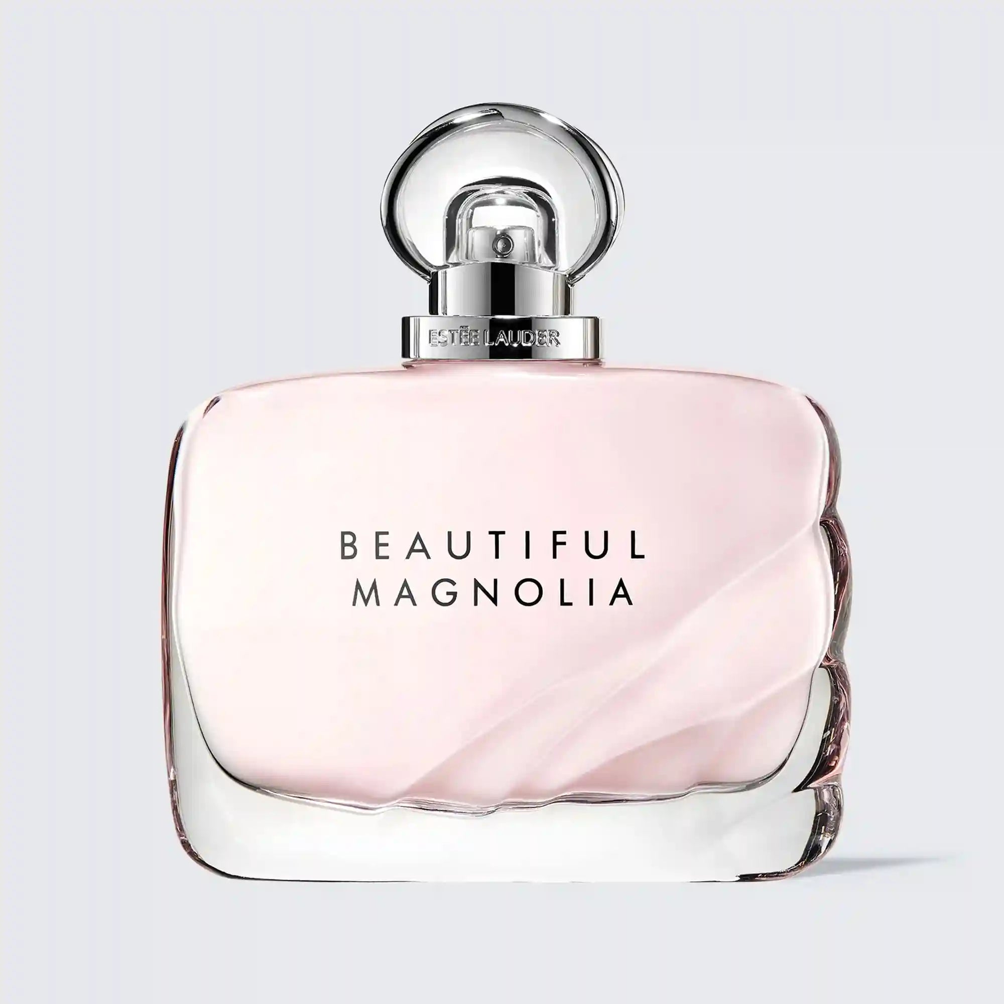 Beautiful Magnolia
